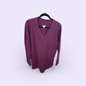 J. Jill Purple V-Neck Sweater
